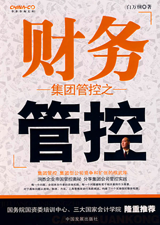 集团管控之财物管控.jpeg