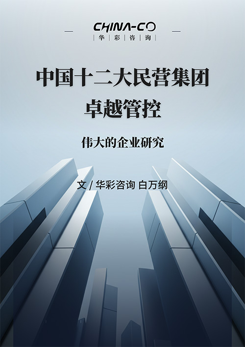 中国十二大民营集团卓越管控.jpg